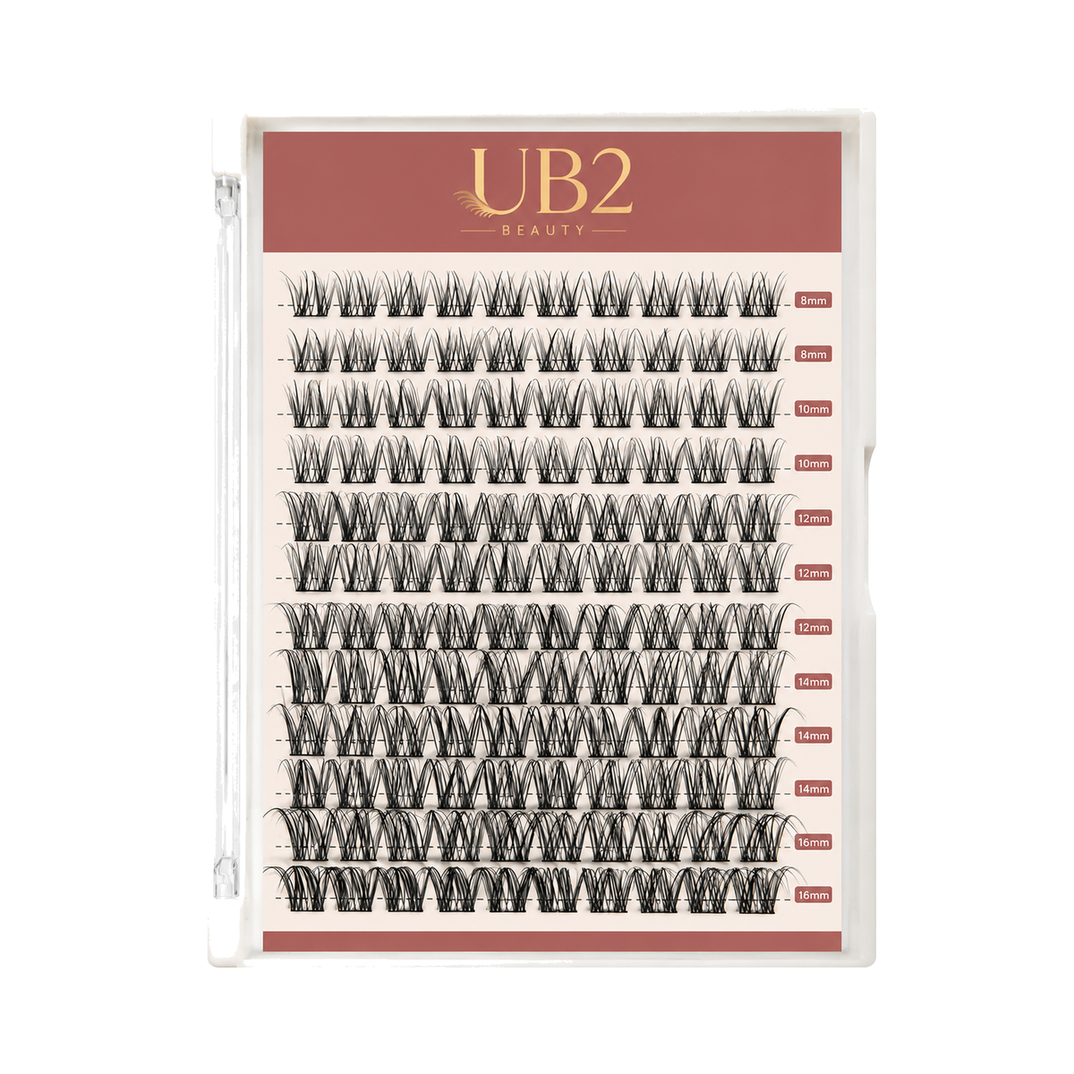 LS-001-12-B lash product standardized main image
