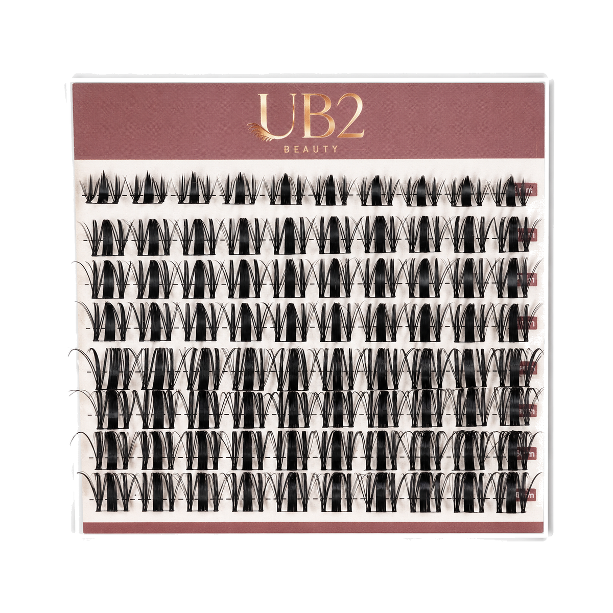 LS-002-08-B lash product standardized main image