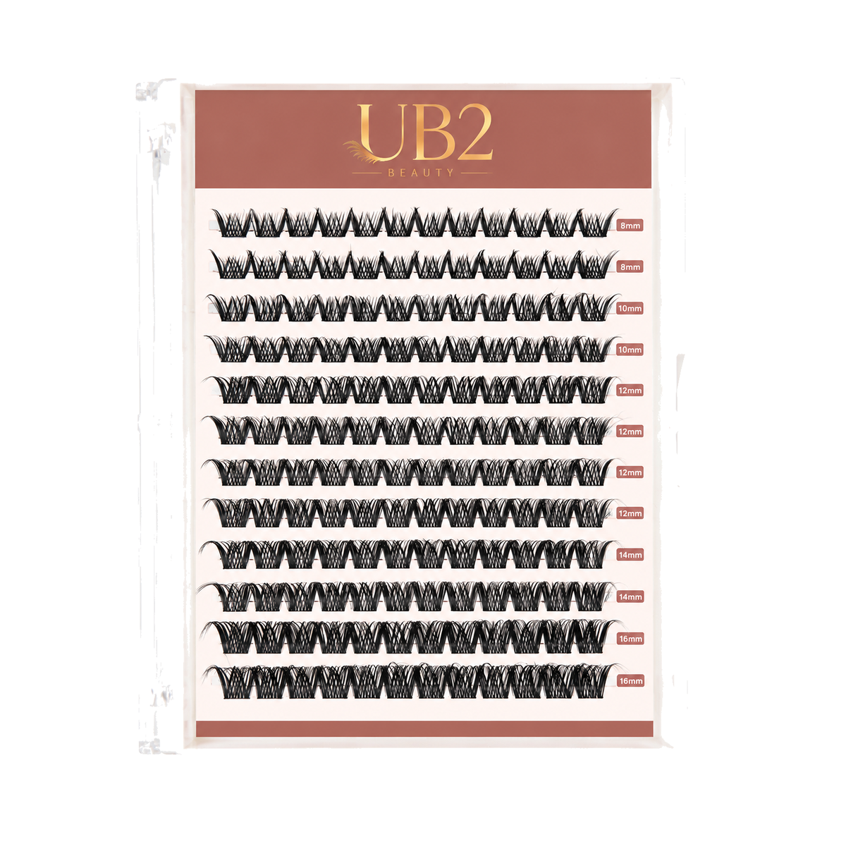 LS-005-12-B lash product standardized main image